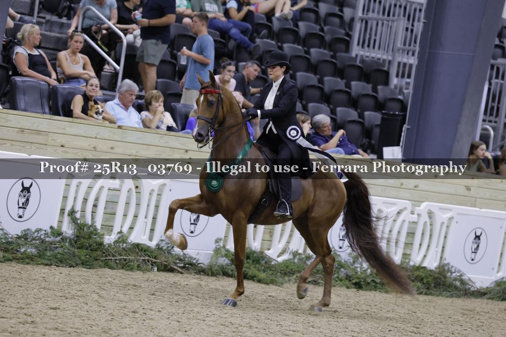 Proof 25R13_03769