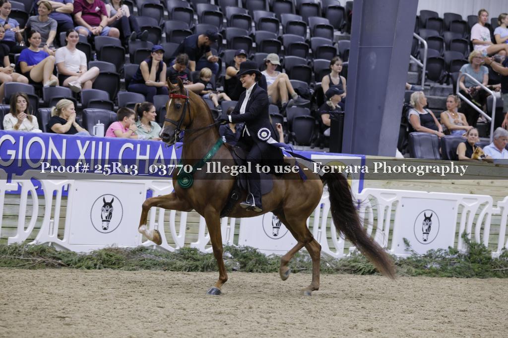 Proof 25R13_03770