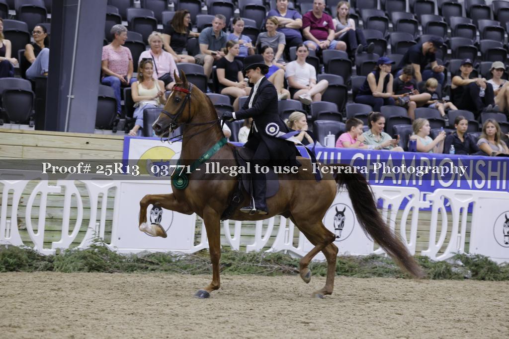Proof 25R13_03771