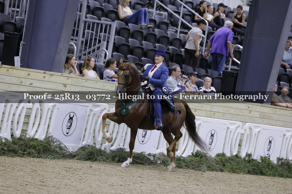 Proof 25R13_03772
