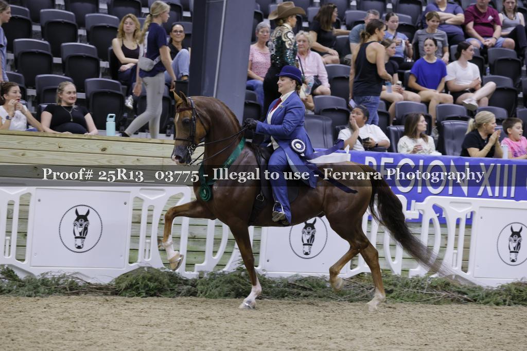 Proof 25R13_03775