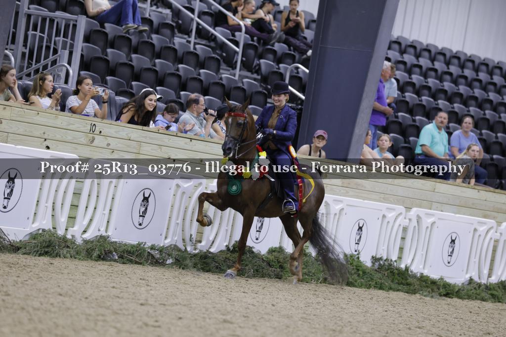 Proof 25R13_03776