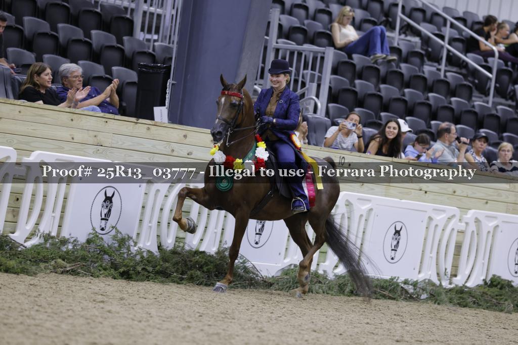 Proof 25R13_03777