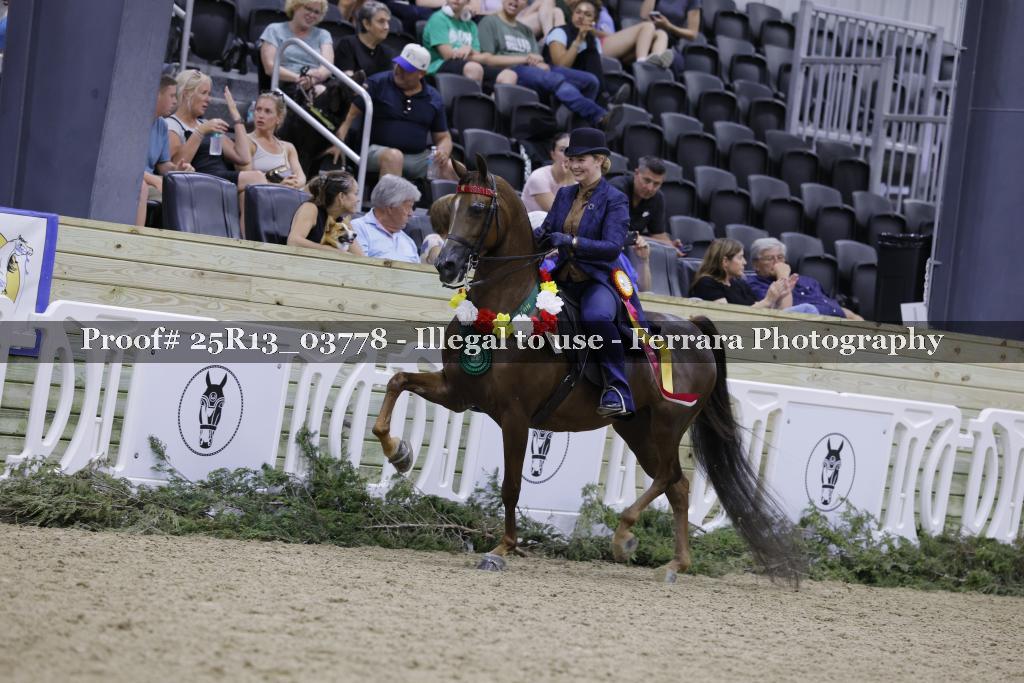 Proof 25R13_03778