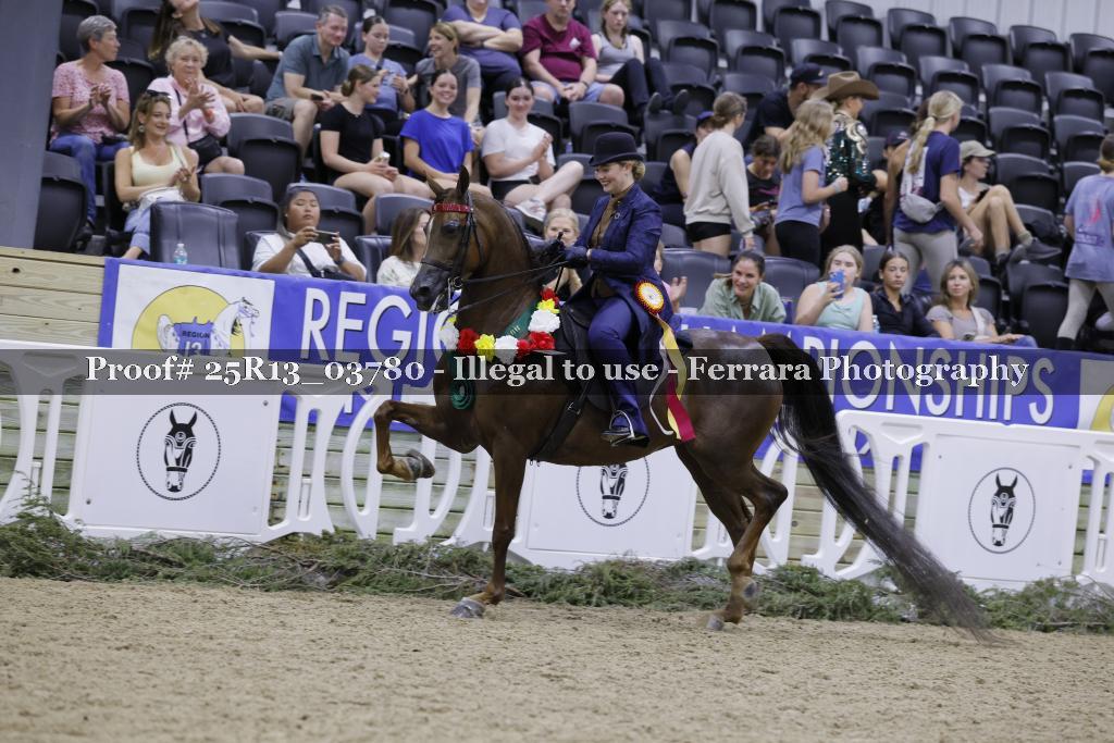 Proof 25R13_03780