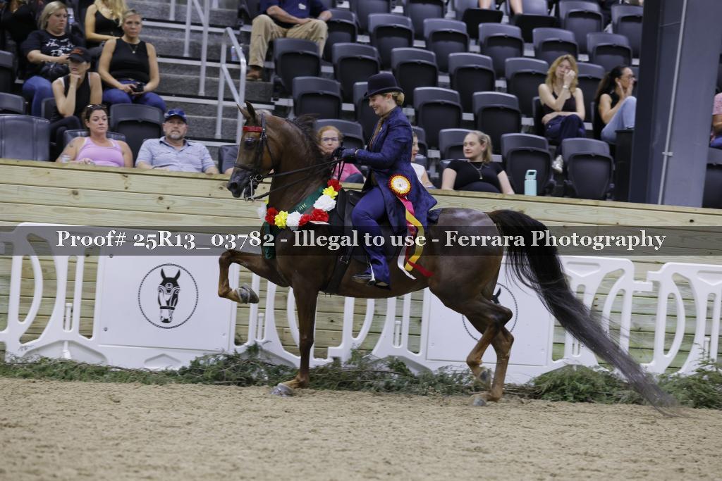 Proof 25R13_03782