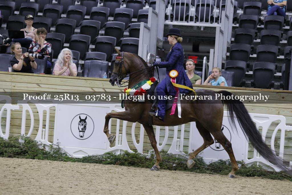 Proof 25R13_03783