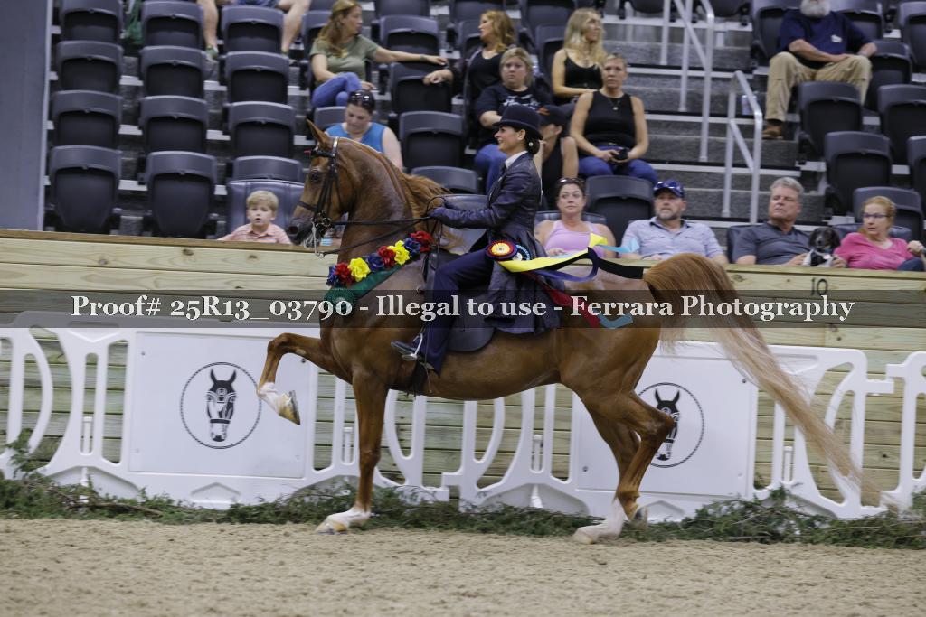 Proof 25R13_03790