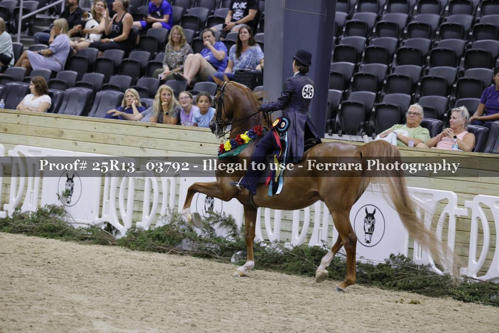 Proof 25R13_03792