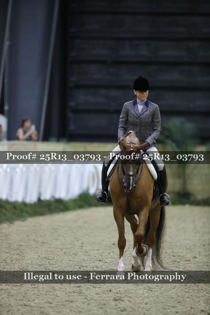 Proof 25R13_03793