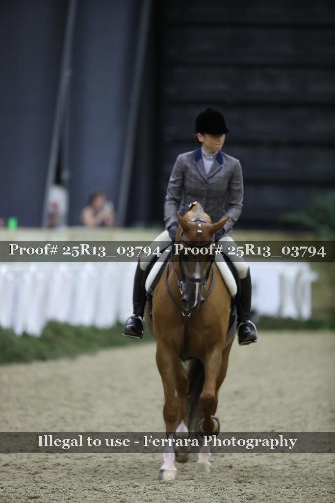 Proof 25R13_03794