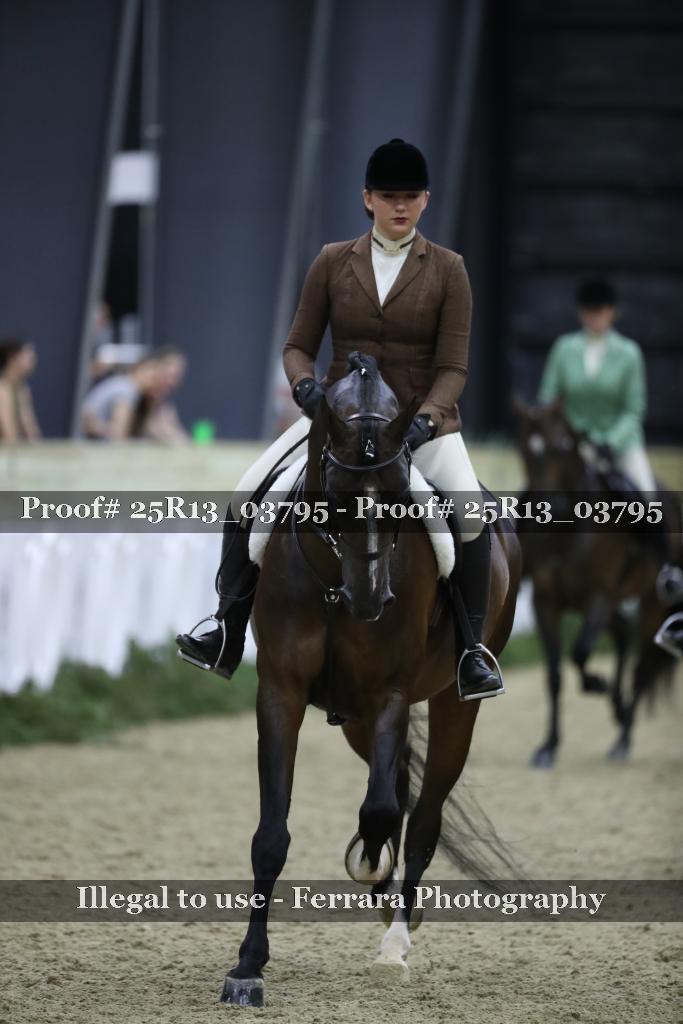 Proof 25R13_03795