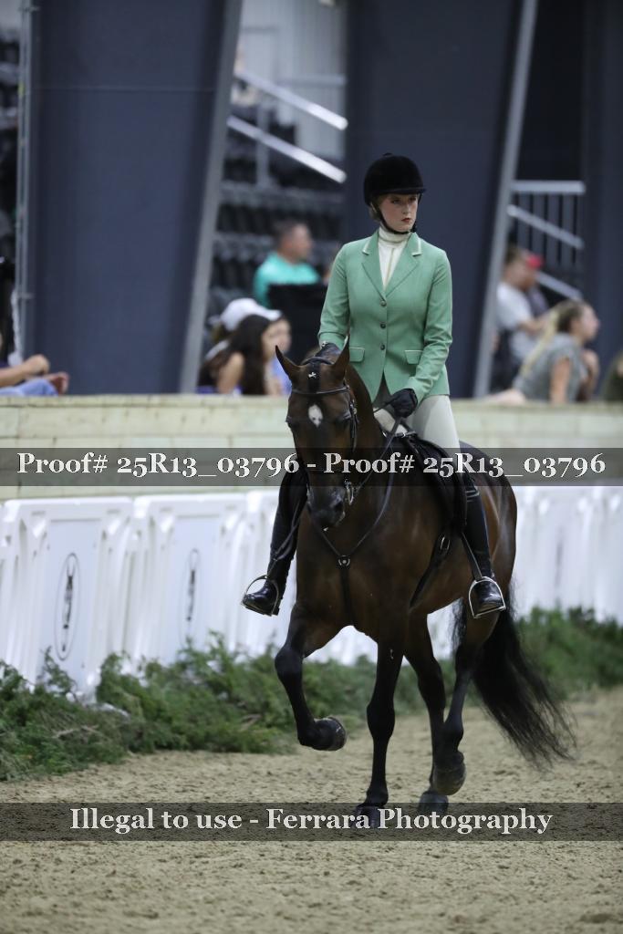 Proof 25R13_03796