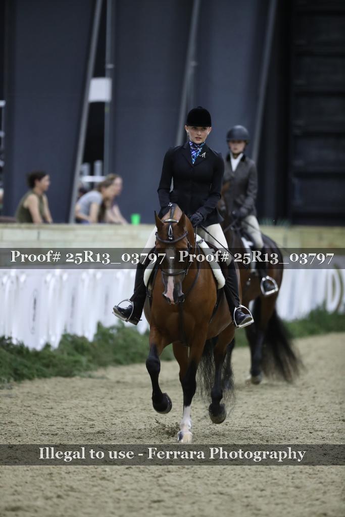 Proof 25R13_03797