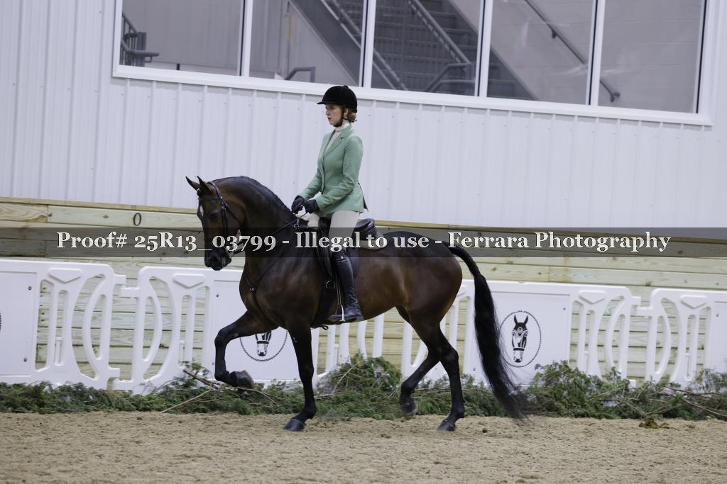 Proof 25R13_03799