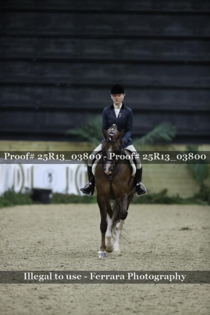 Proof 25R13_03800