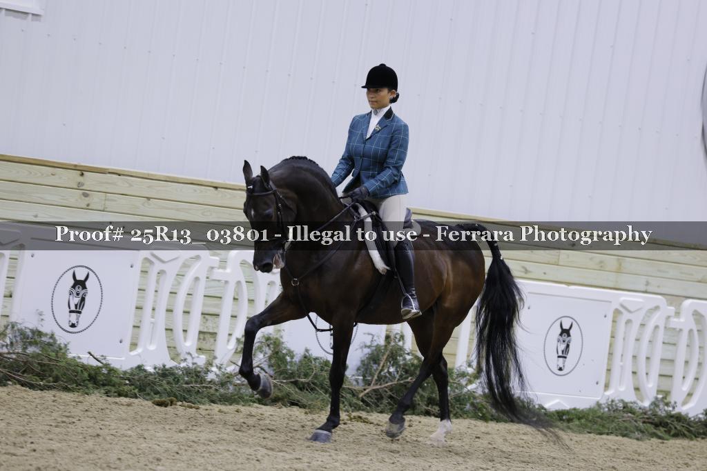 Proof 25R13_03801