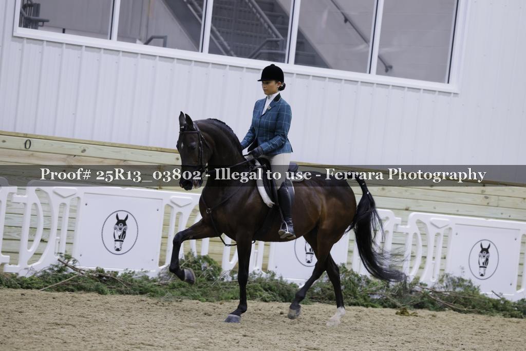 Proof 25R13_03802