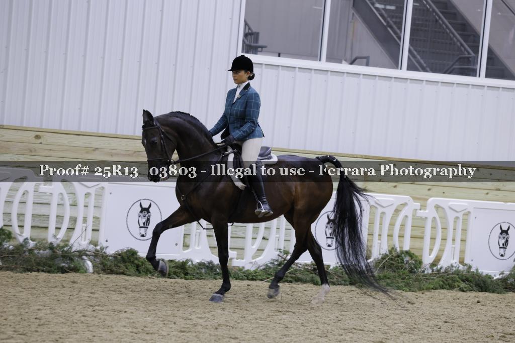 Proof 25R13_03803