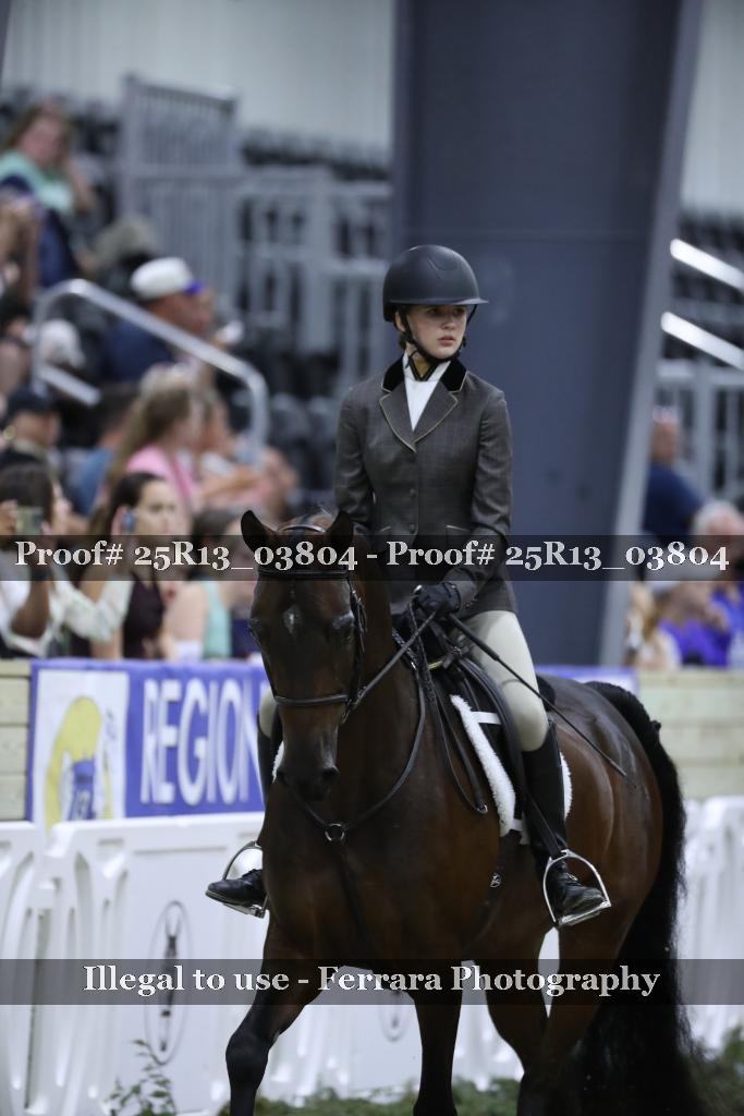 Proof 25R13_03804