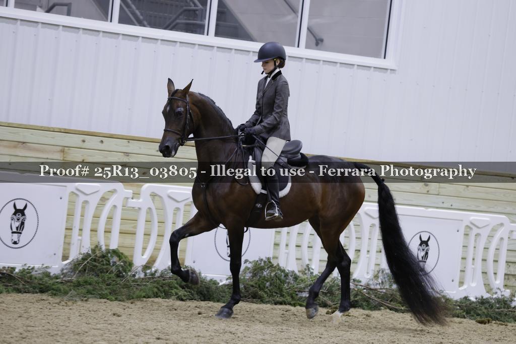 Proof 25R13_03805