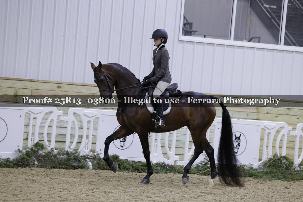 Proof 25R13_03806