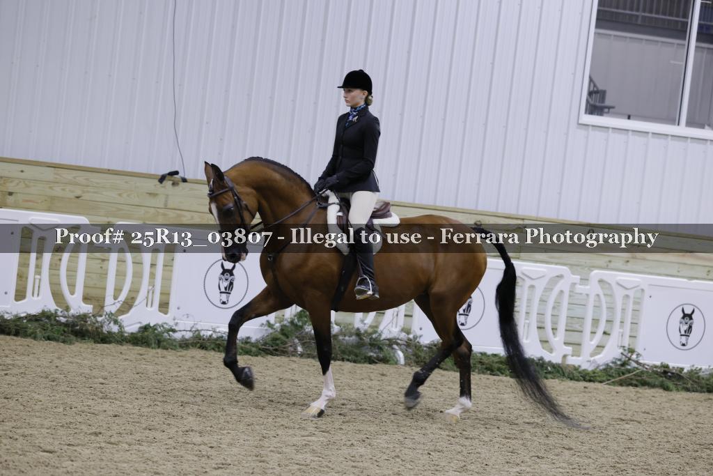 Proof 25R13_03807