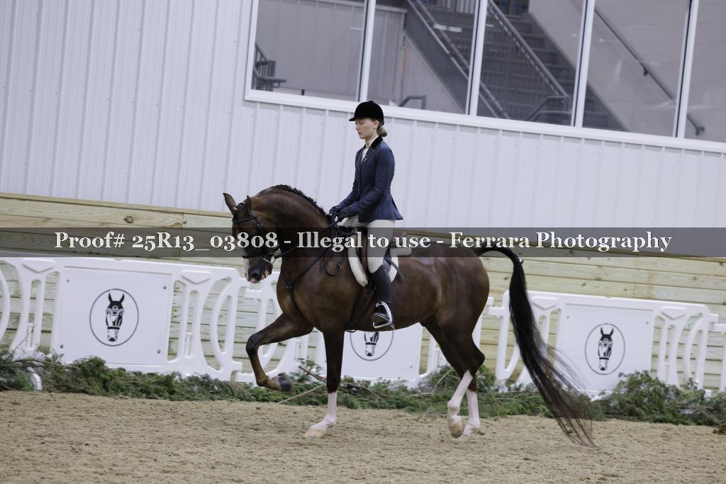 Proof 25R13_03808