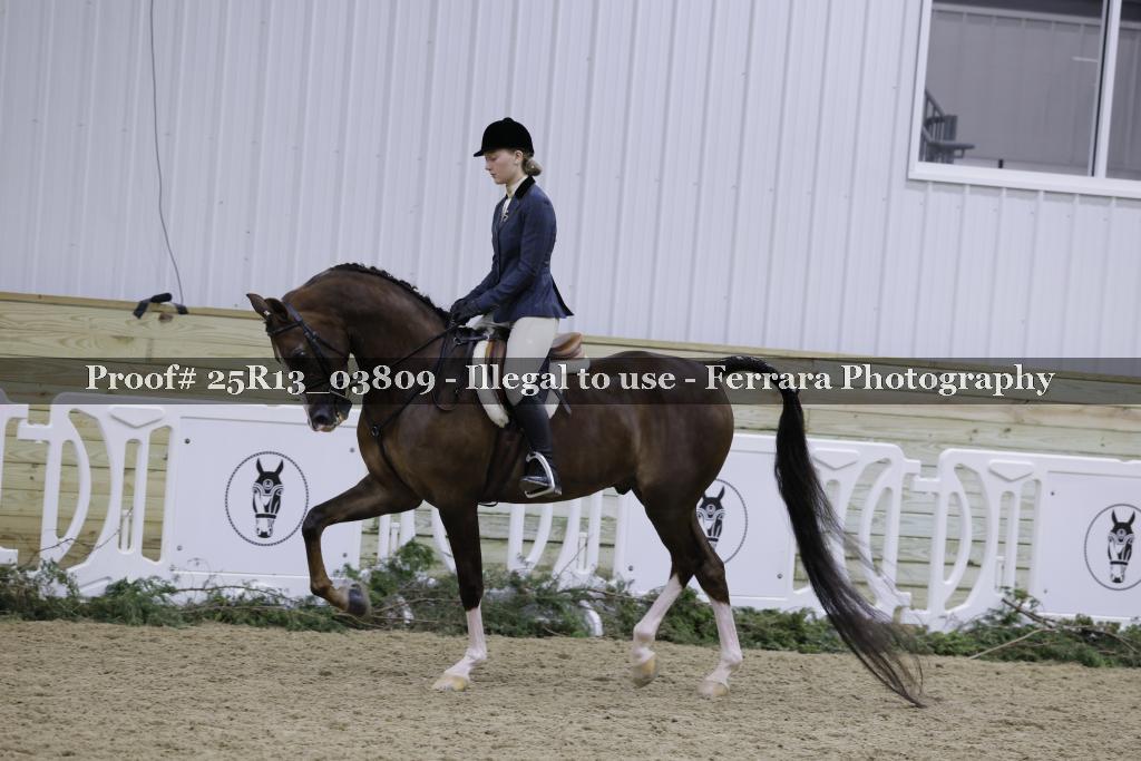 Proof 25R13_03809