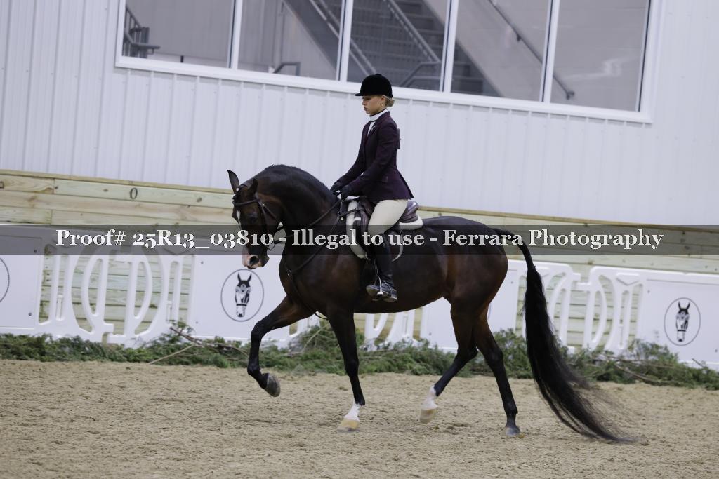 Proof 25R13_03810
