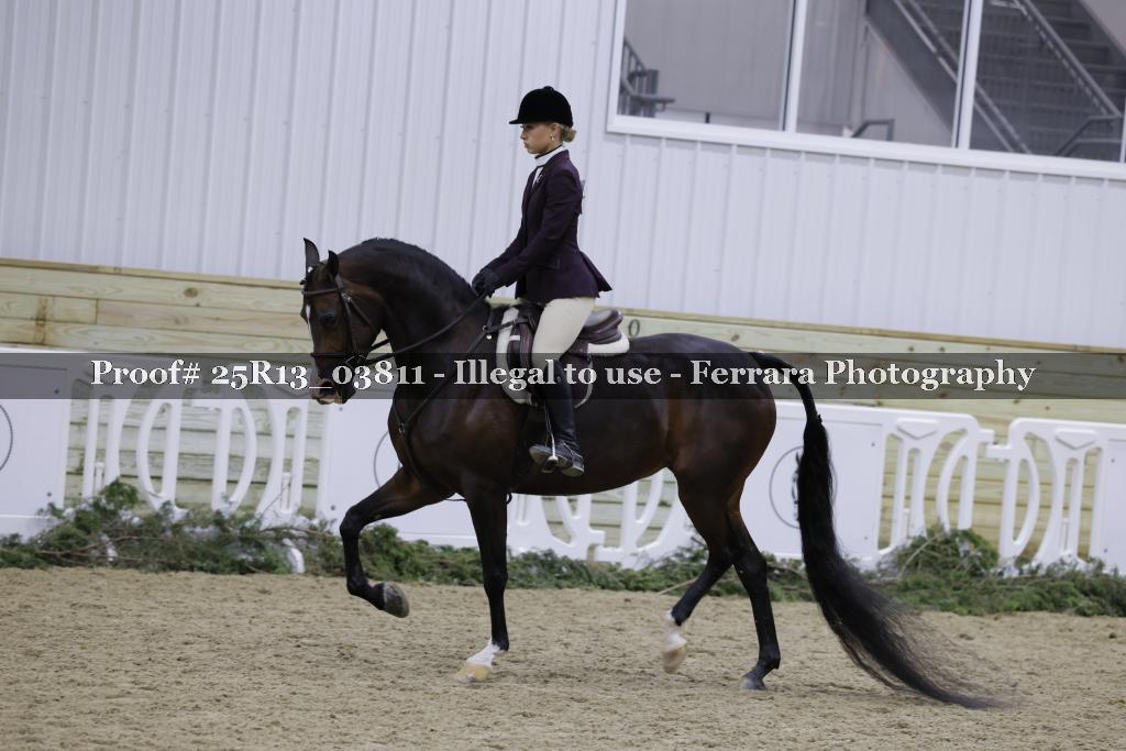 Proof 25R13_03811