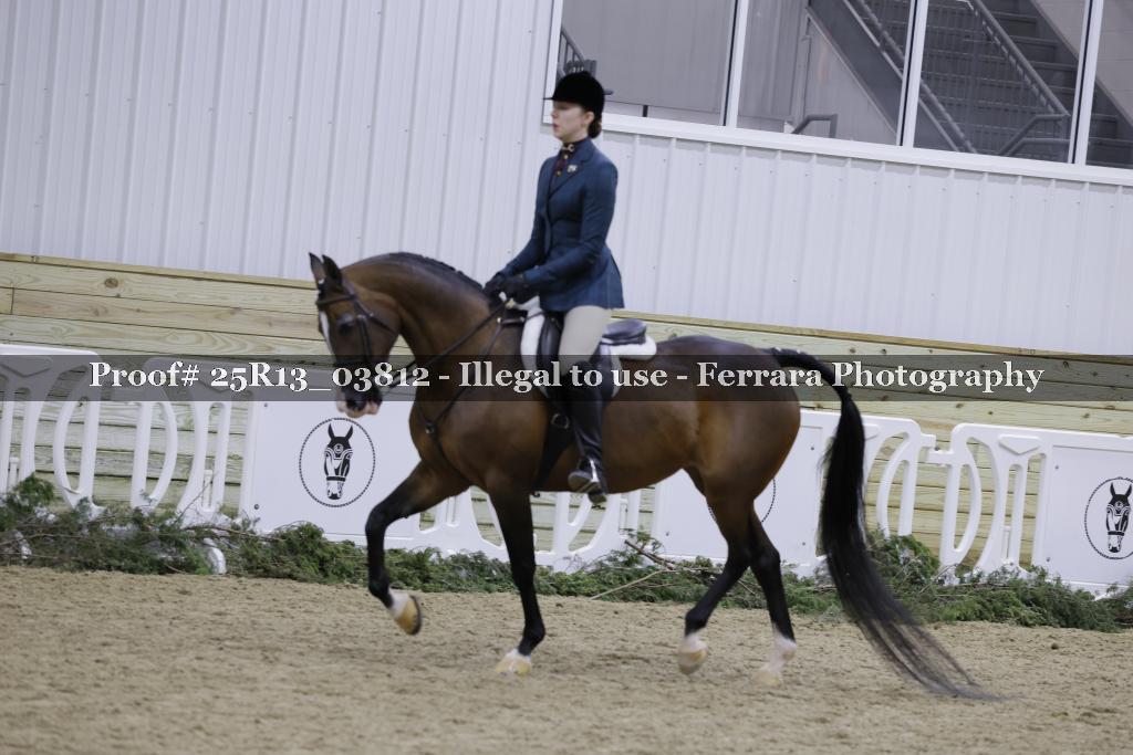 Proof 25R13_03812