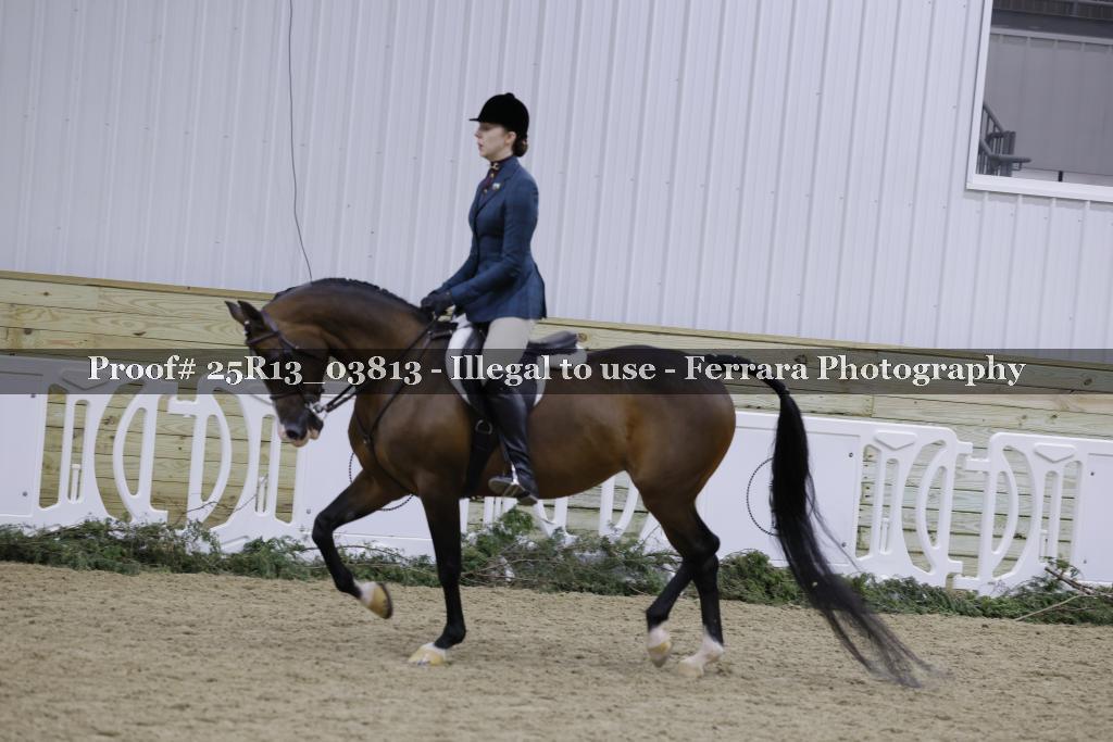 Proof 25R13_03813