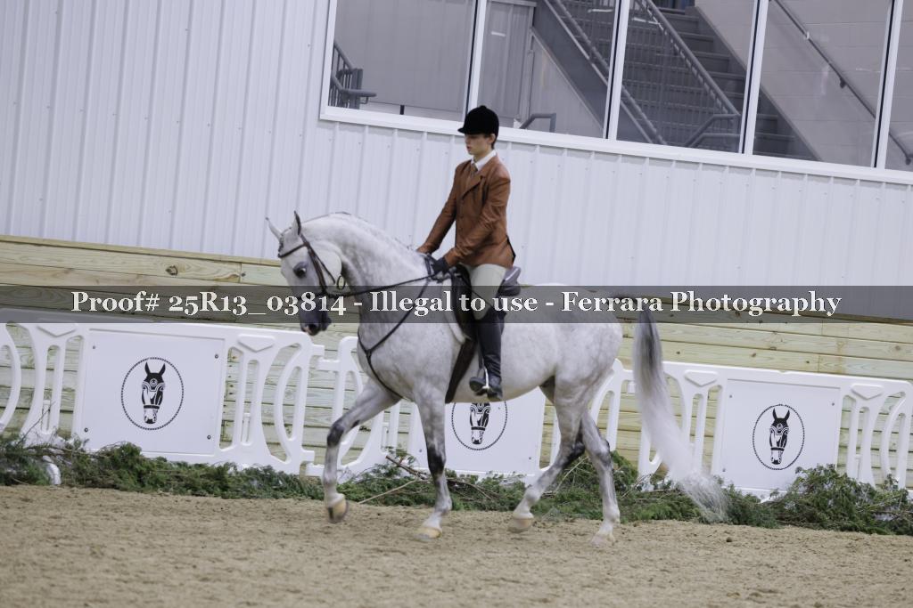 Proof 25R13_03814