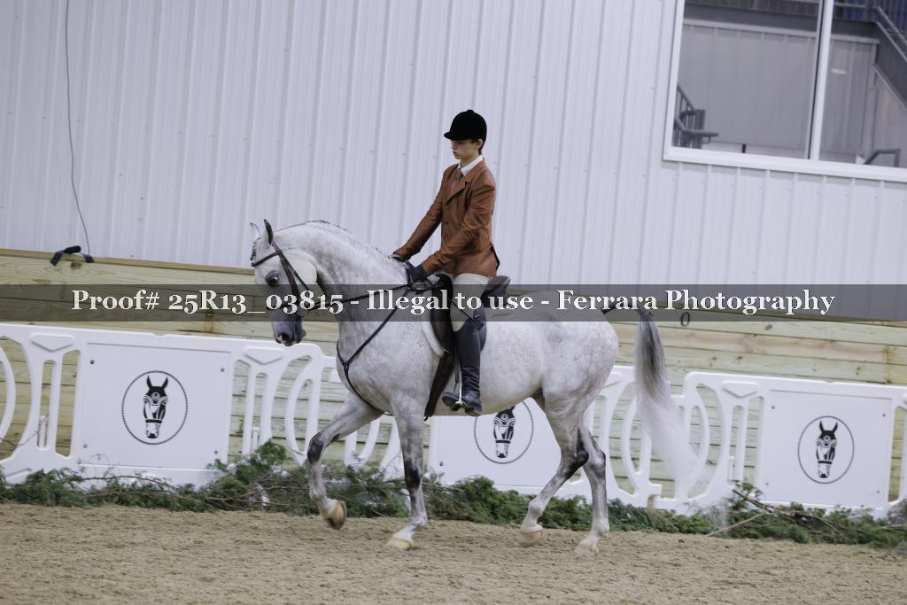 Proof 25R13_03815