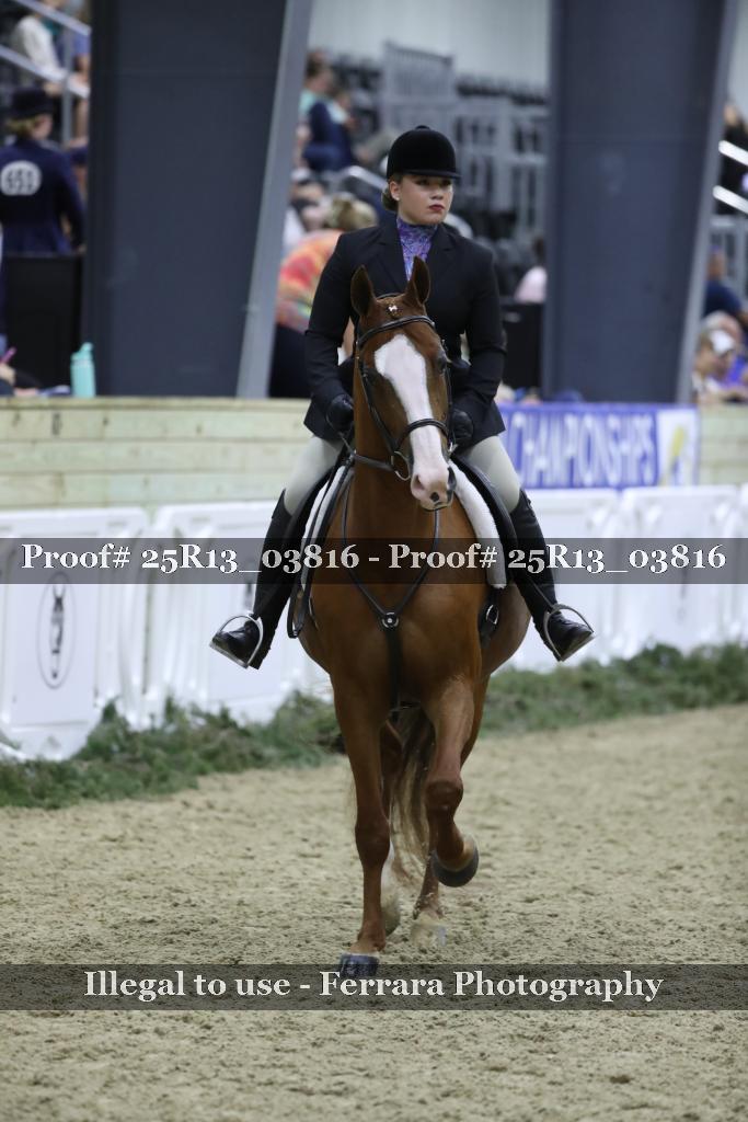 Proof 25R13_03816