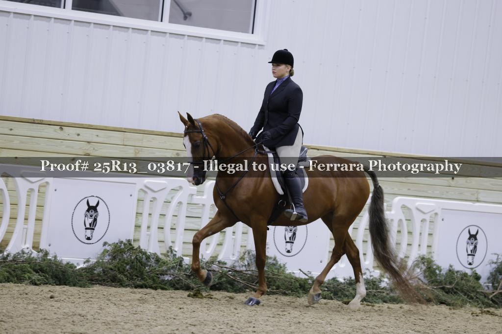 Proof 25R13_03817