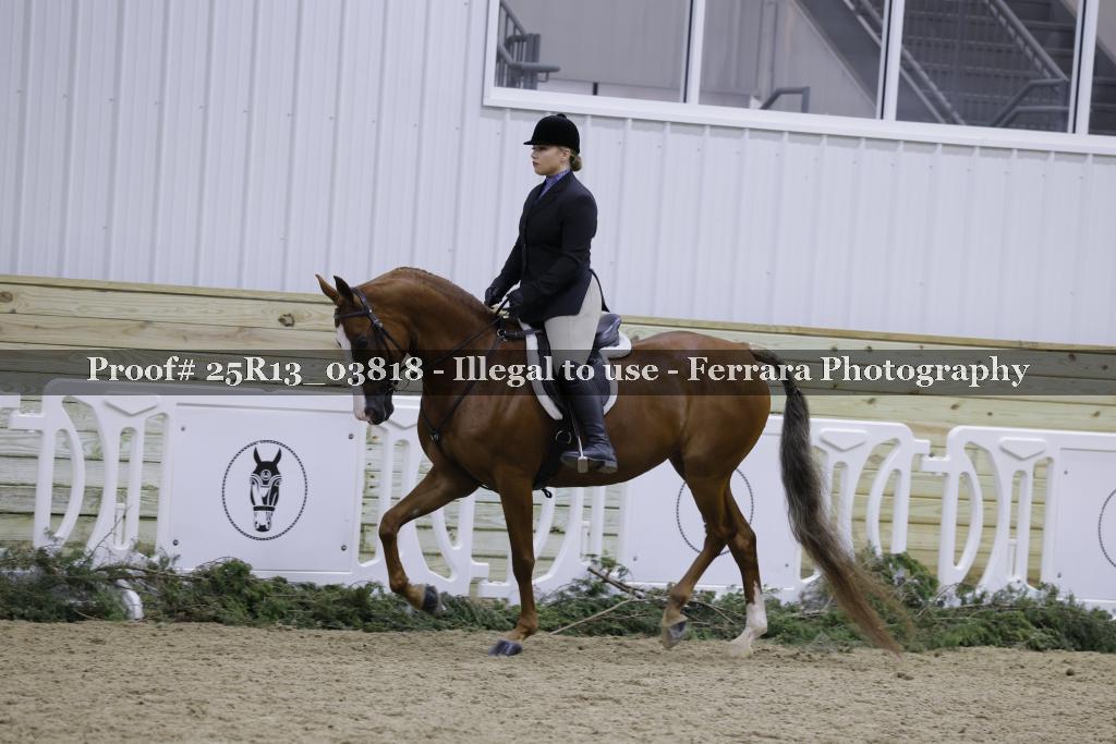Proof 25R13_03818