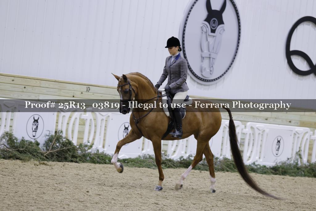 Proof 25R13_03819