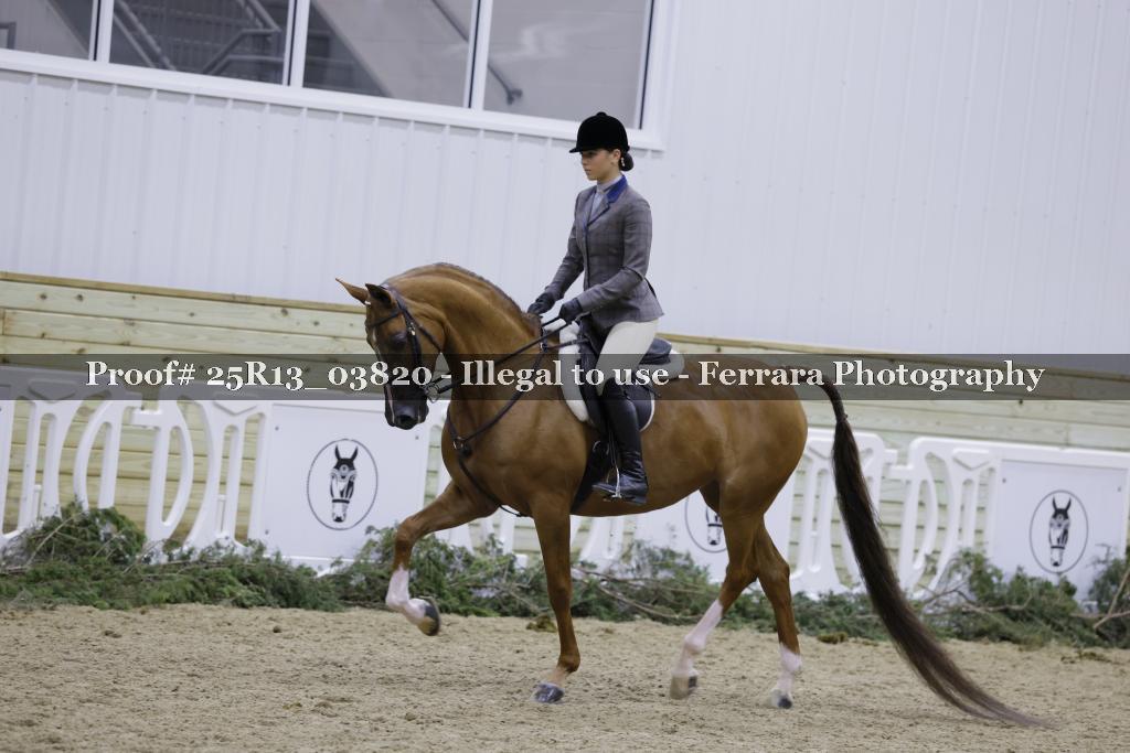 Proof 25R13_03820