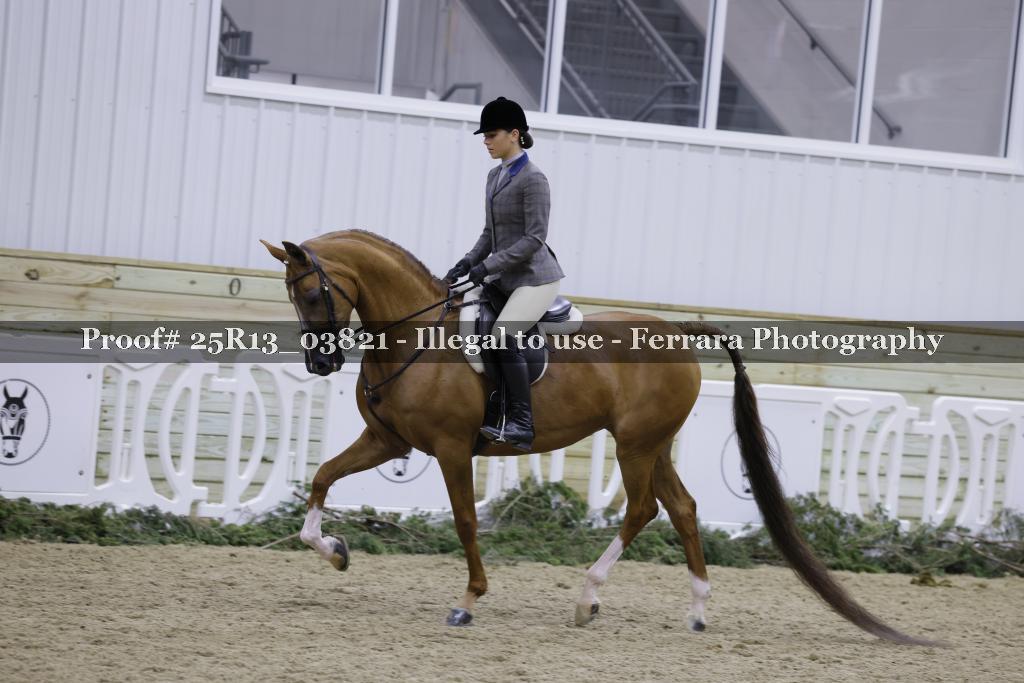 Proof 25R13_03821