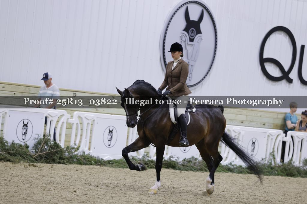 Proof 25R13_03822