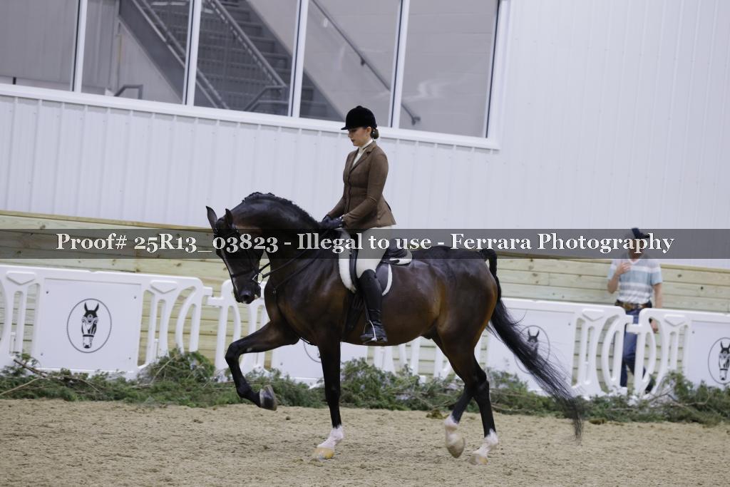 Proof 25R13_03823