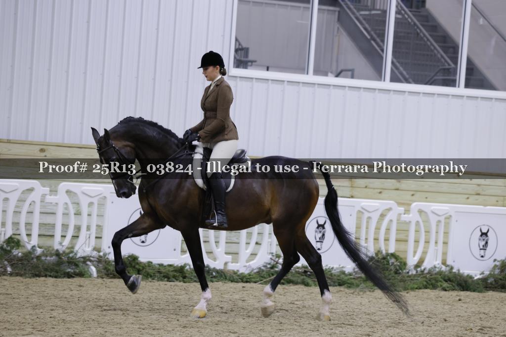 Proof 25R13_03824