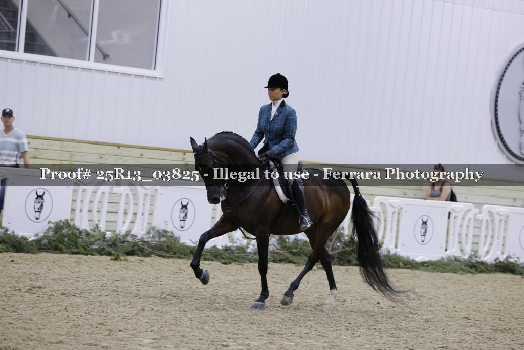 Proof 25R13_03825