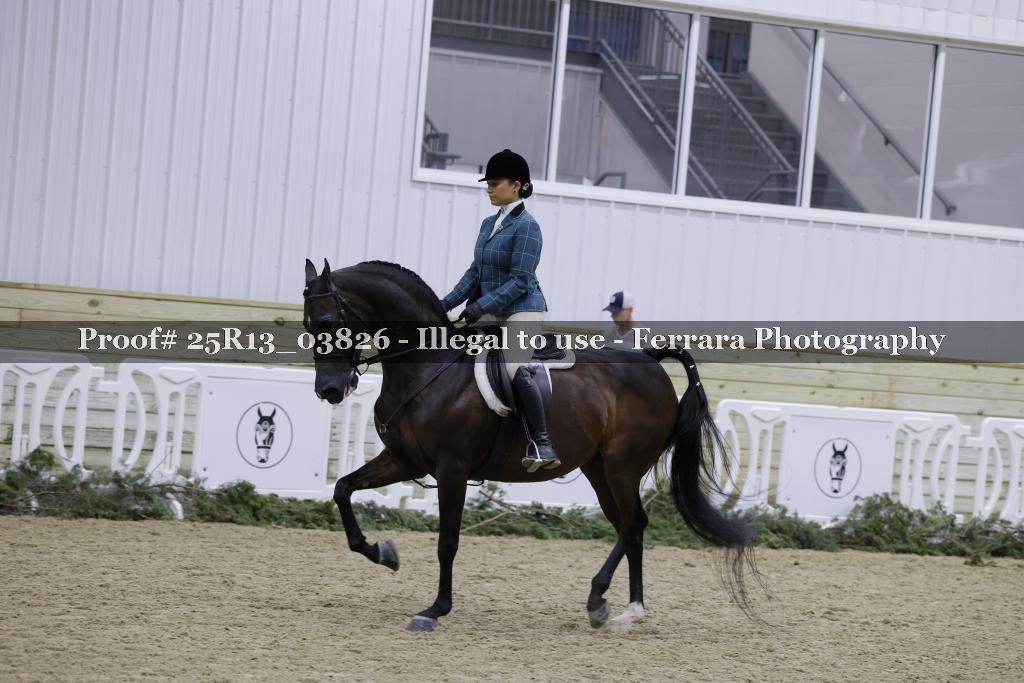Proof 25R13_03826