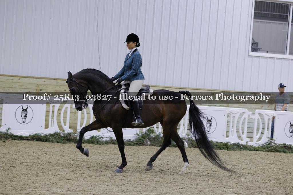 Proof 25R13_03827