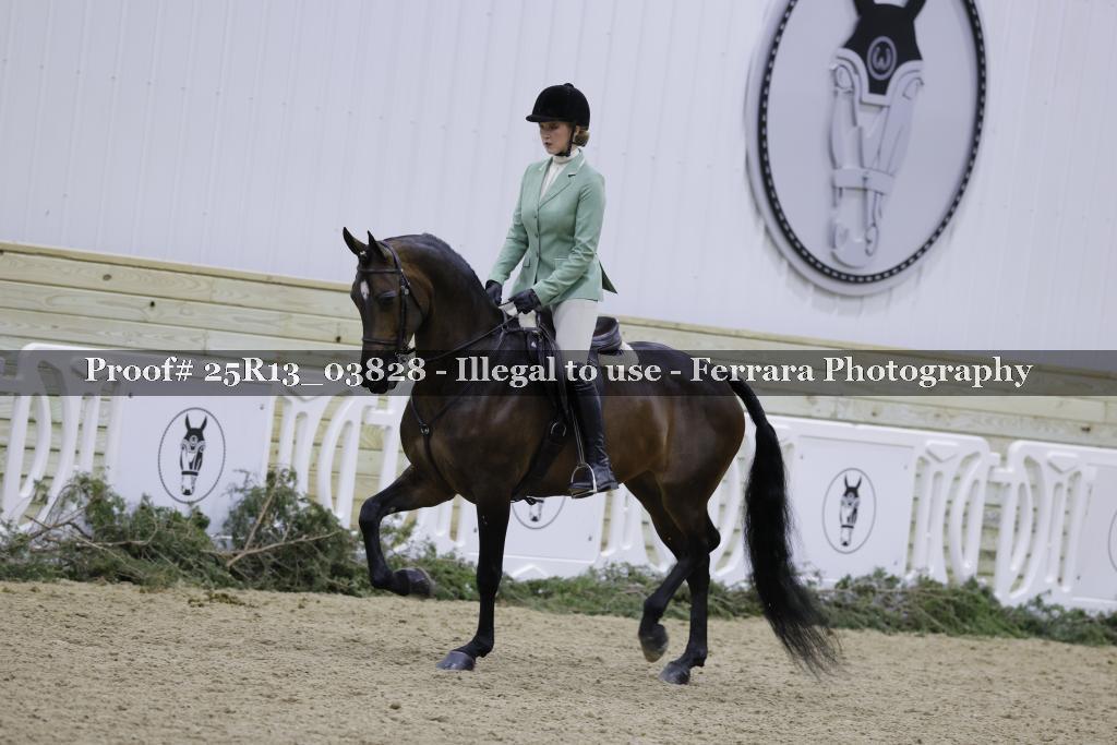 Proof 25R13_03828