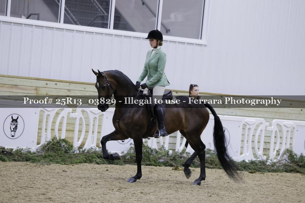 Proof 25R13_03829