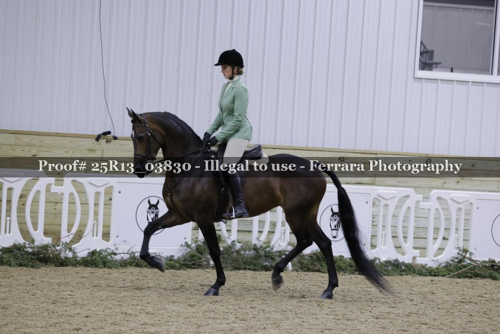 Proof 25R13_03830